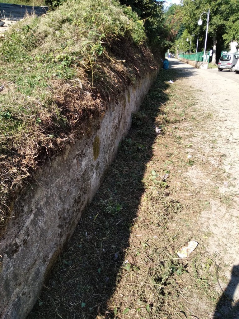 IMG-20210905-WA0581