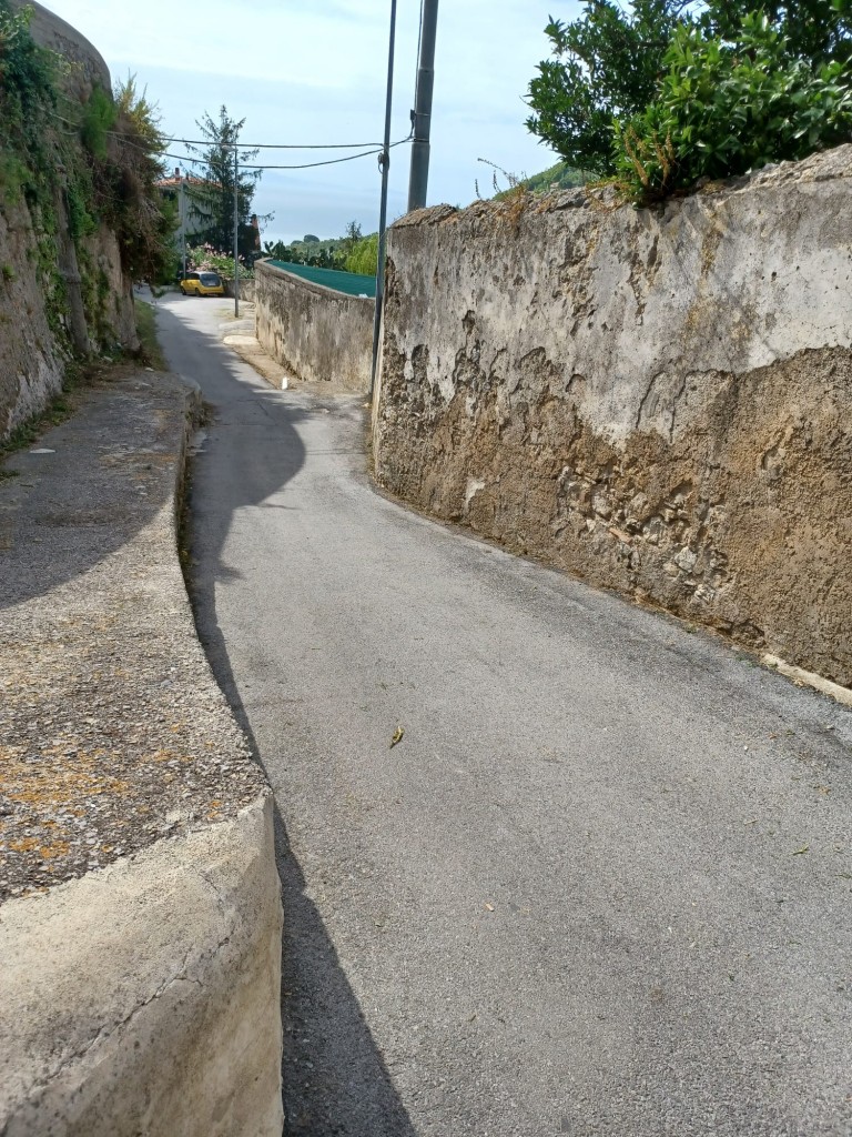 IMG-20210905-WA0615